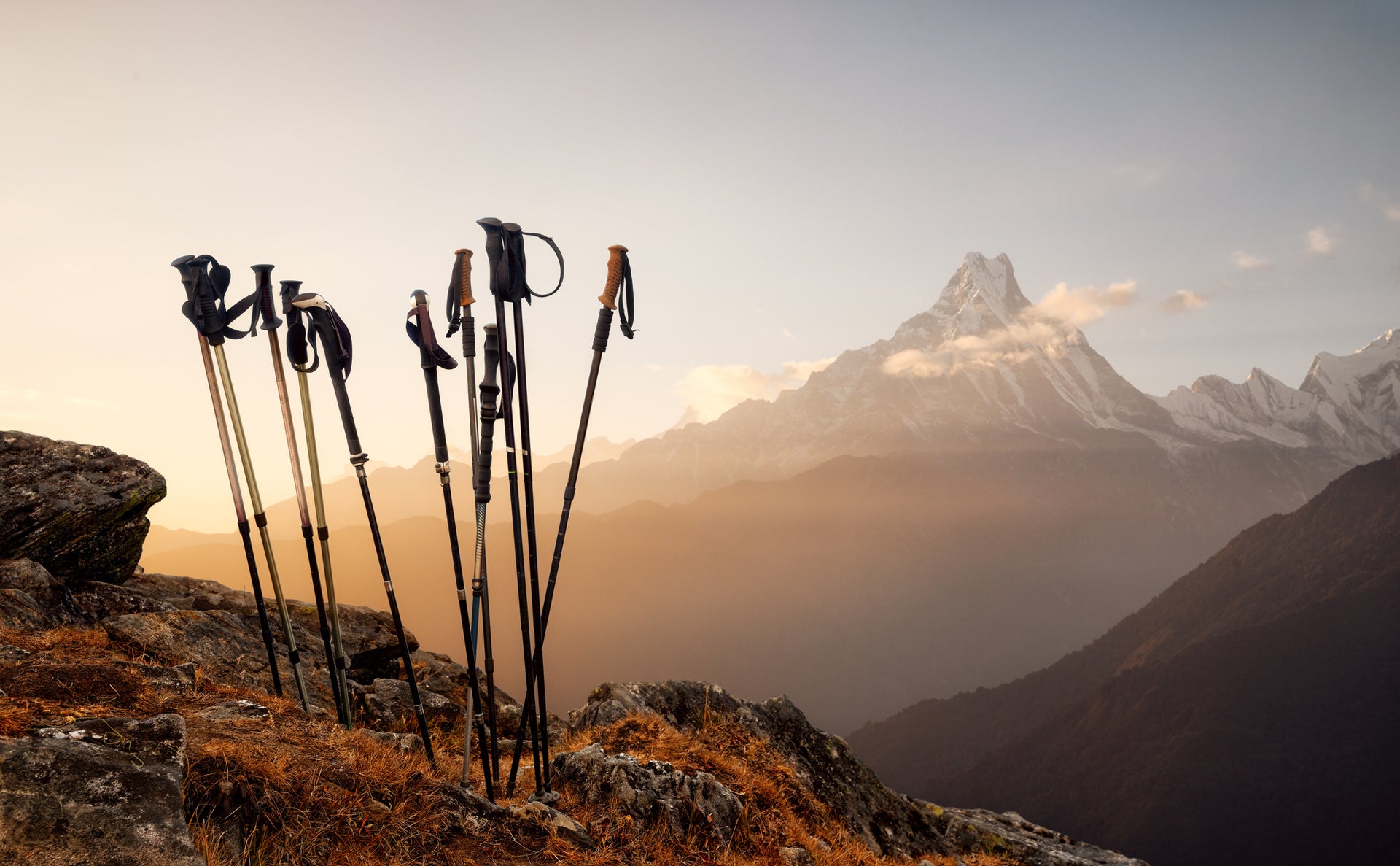 Trekking Poles